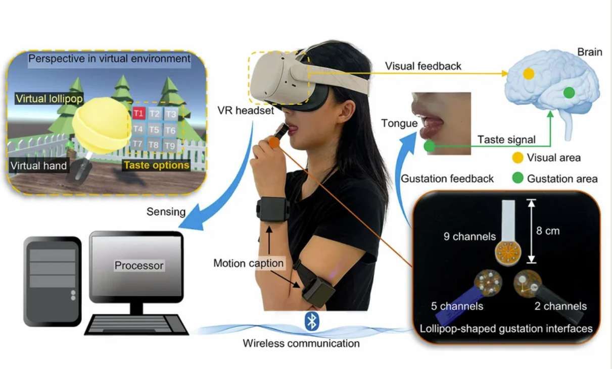 香港城市大学为VR开发棒棒糖状舌舔味觉装置，模拟9种不同味道