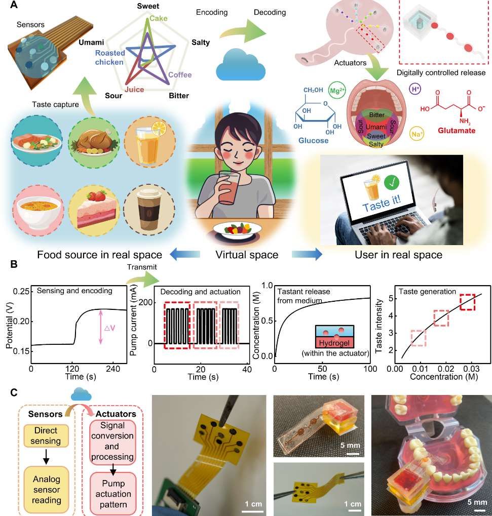 俄亥俄州立大学团队研发“e-Taste”，为XR体验增添味道  第1张